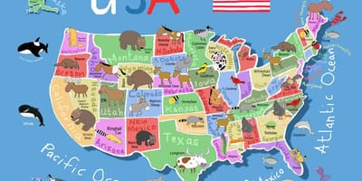 Mapa USA dla dzieci