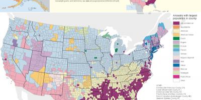 USA etnicznej mapie